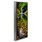 Stupell Industries Clear Stream Waterfall Photography Framed Floater Canvas Wall Art